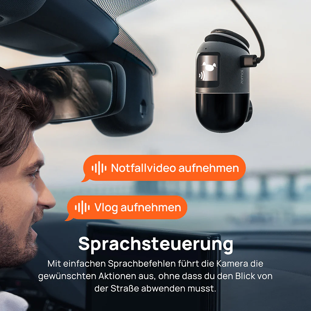 Vorschaubild 8